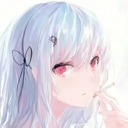 胶片收藏家头像